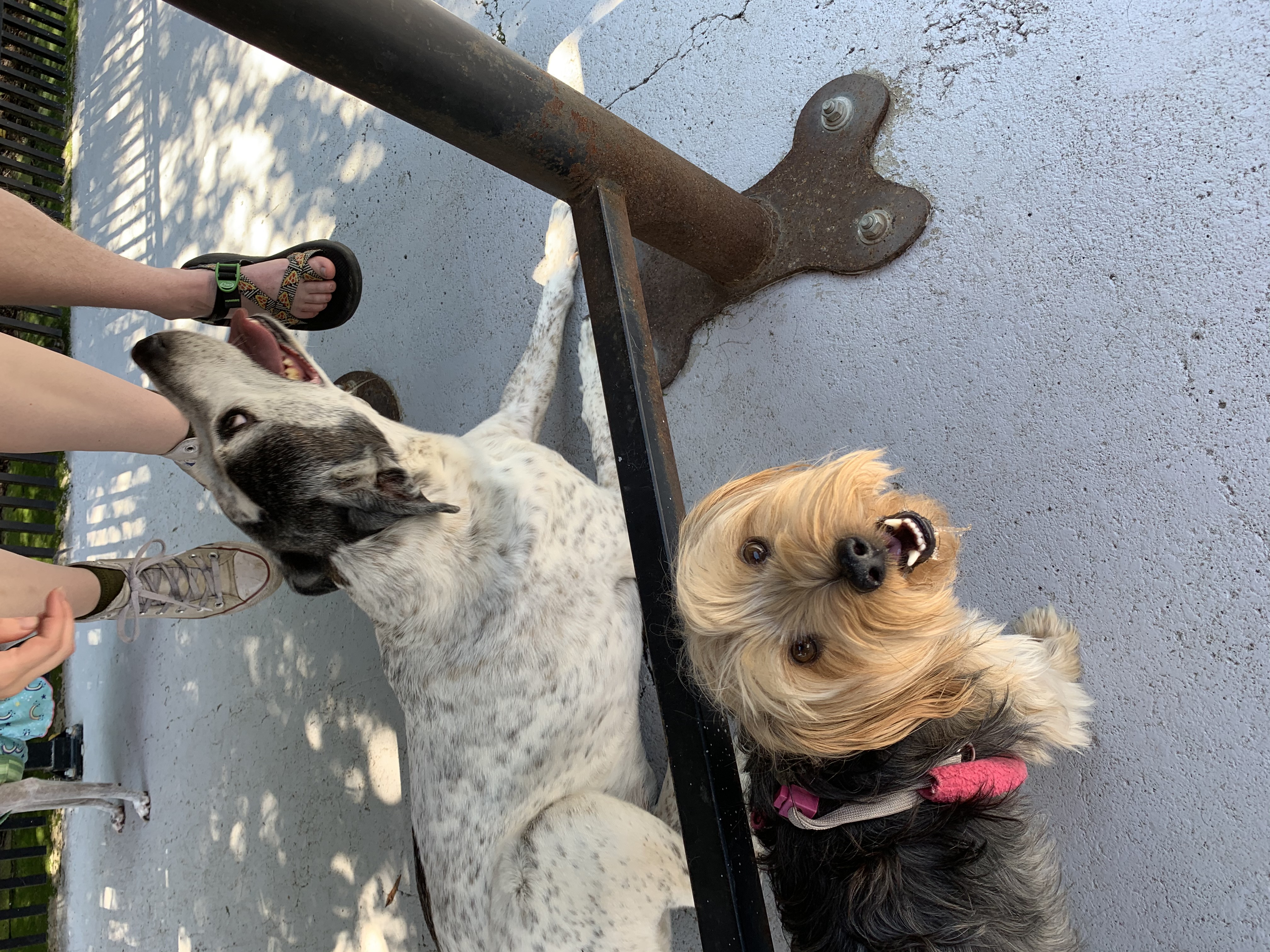 ./2020/06 - Father's Day/IMG_6321.JPG